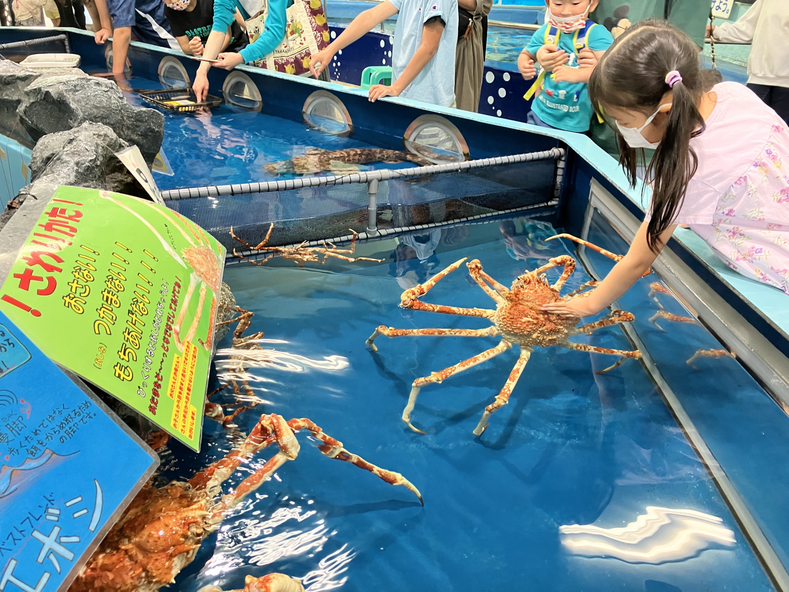 子連れにおすすめ 竹島水族館 が人気の理由を写真で紹介 写真で紹介 公園情報inしずおか